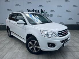 2019 Haval H6 1.5T City